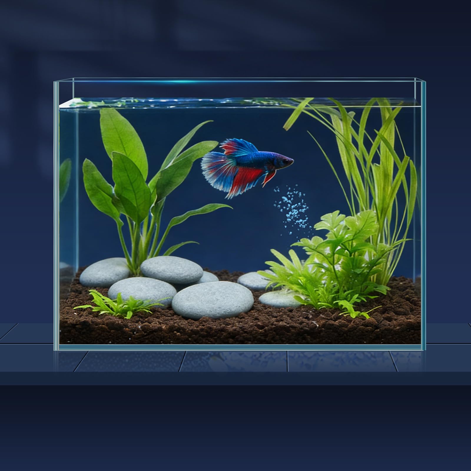 LAQUAL Kit Acuario de 7.6 L con Red, sifón & 2 paños de Limpieza, Cristal Transparente, pequeño Acuario para Betta y Peces Dorados, Bonita decoración del hogar