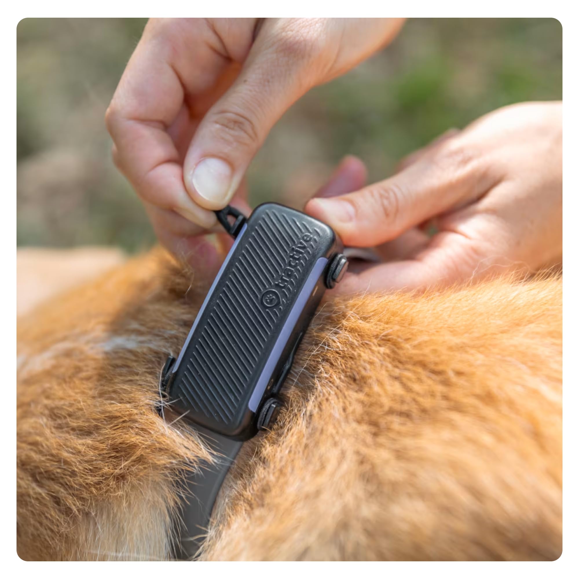 Tractive - 2 clip in tessuto per il GPS per cani Tractive DOG 6 (nero) - formato grande (L)