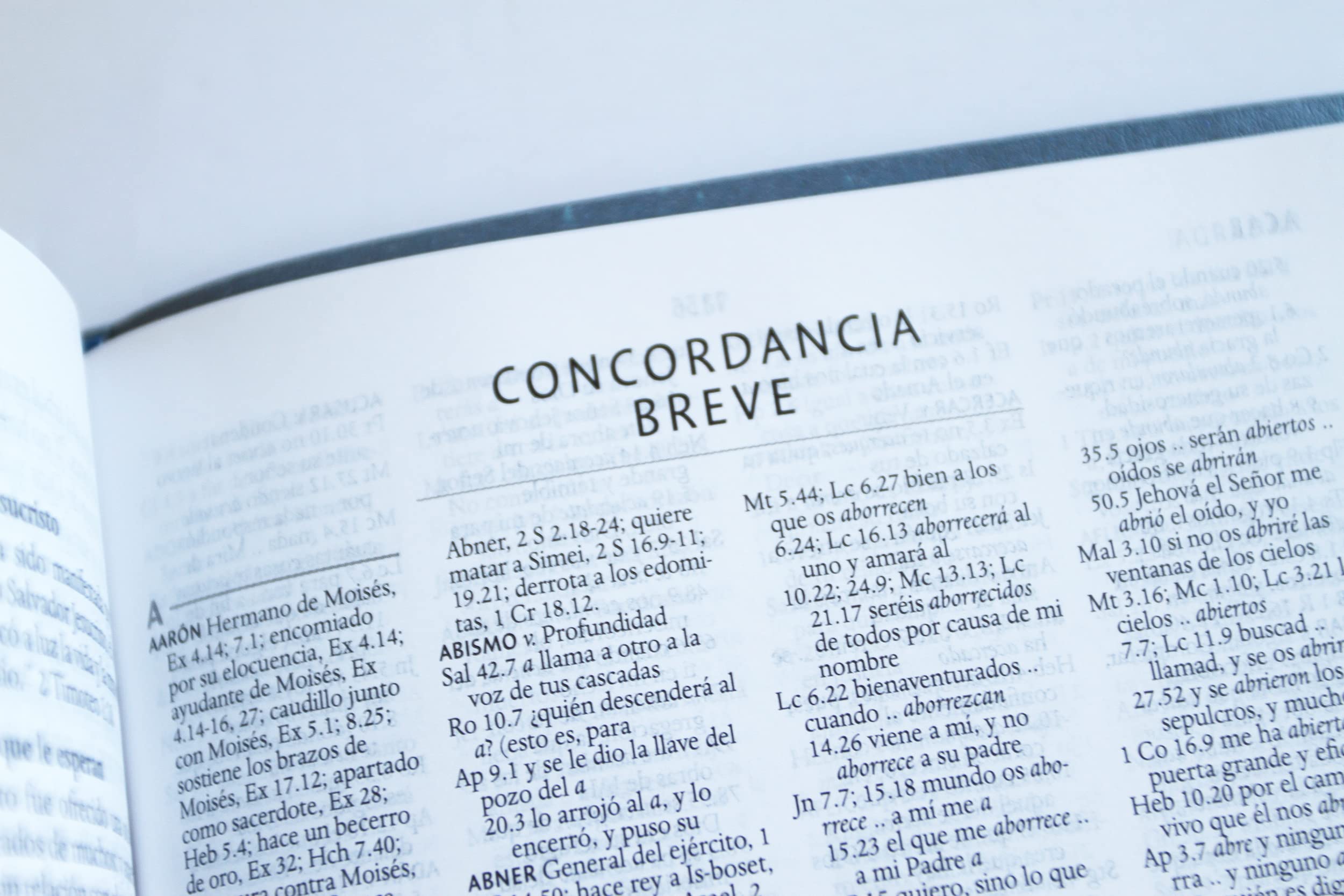 Santa Biblia / Holy Bible: Reina-Valera 1960, canelacon, simil piel, con nombres de Dios / Reina-valera 1960, Brown, Leathersoft With Names of God