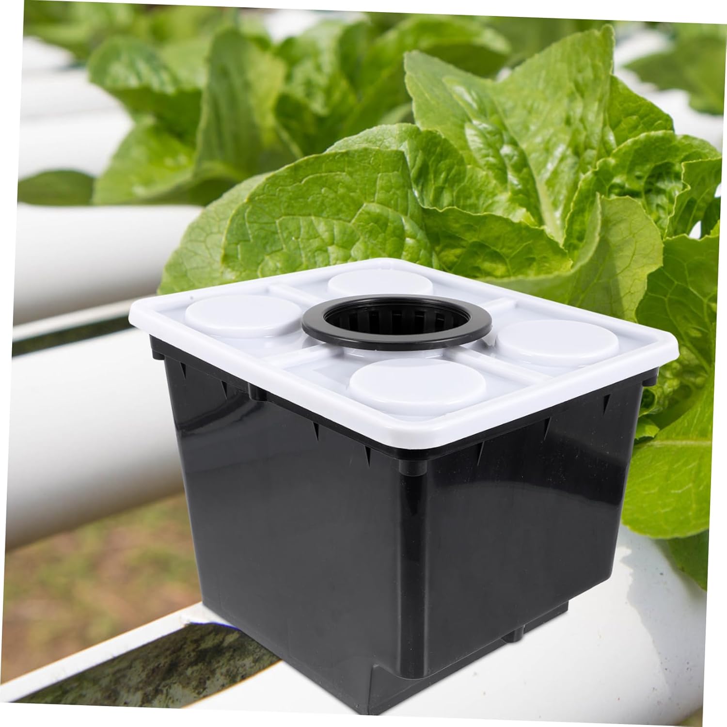 Soilless Cultivation Hydroponic Basket Durable Plant Growth Bucket for Greenhouse Easy Installation for Vegetables and Fruits for Indoor and Outdoor Gardening