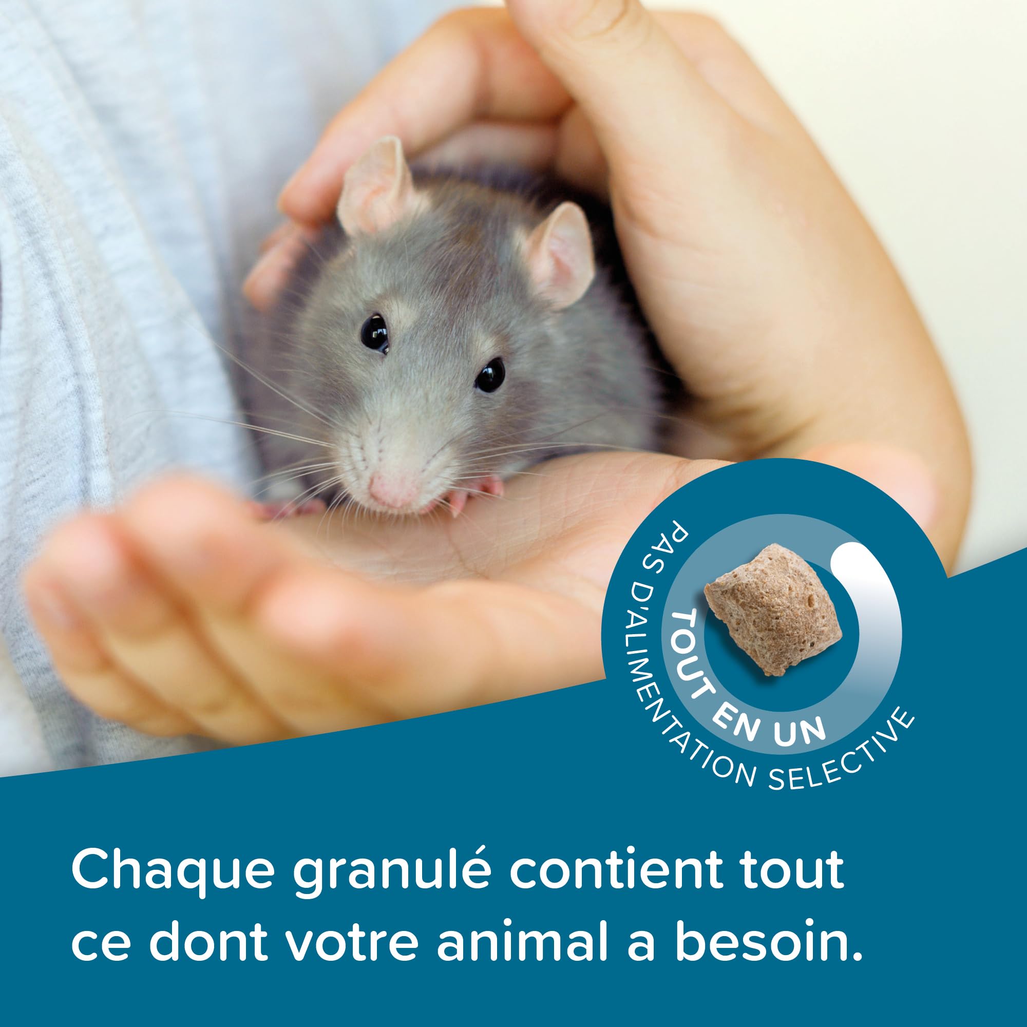 BEAPHAR – Care+ – Alimentation Super Premium extrudée pour Rat – Extrait de thé Vert – Proteines animales – Haute digestibilité – Participe à l’Usure Naturelle de Dents – sans sucres ajoutés – 700g