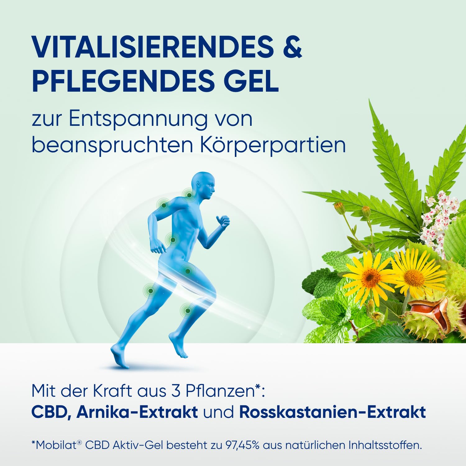 Mobilat CBD Aktiv-Gel - Vitalisierendes und pflegendes Cannabis Gel zur Entspannung von beanspruchten Körperpartien mit CBD, Arnika-Extrakt und Rosskastanien-Extrakt, 100ml