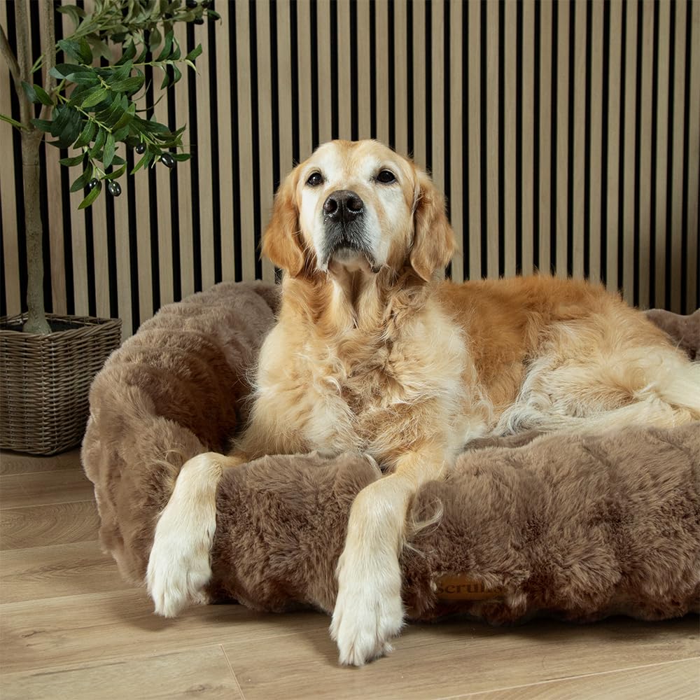 Scruffs Luxury Alpine Box Bed For Dogs (XL)