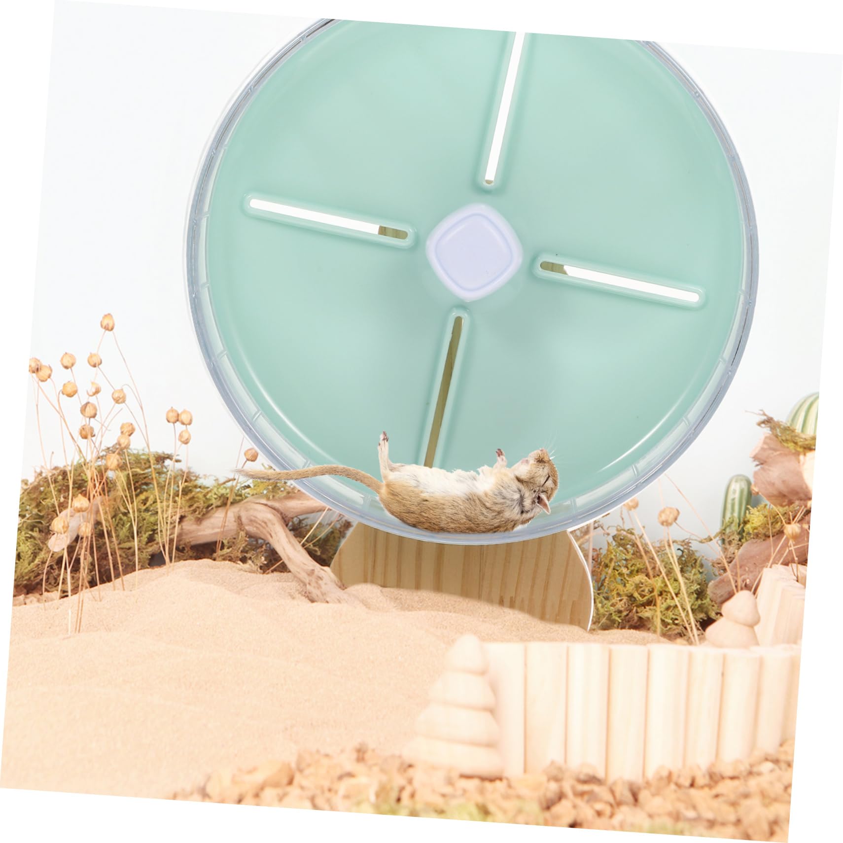 1ensemble Roue Exercice Silencieuse pour Hamster Accessoire pour Petits Animaux avec Support pour Gerbilles Et Hérissons Améliore Animaux De Compagnie