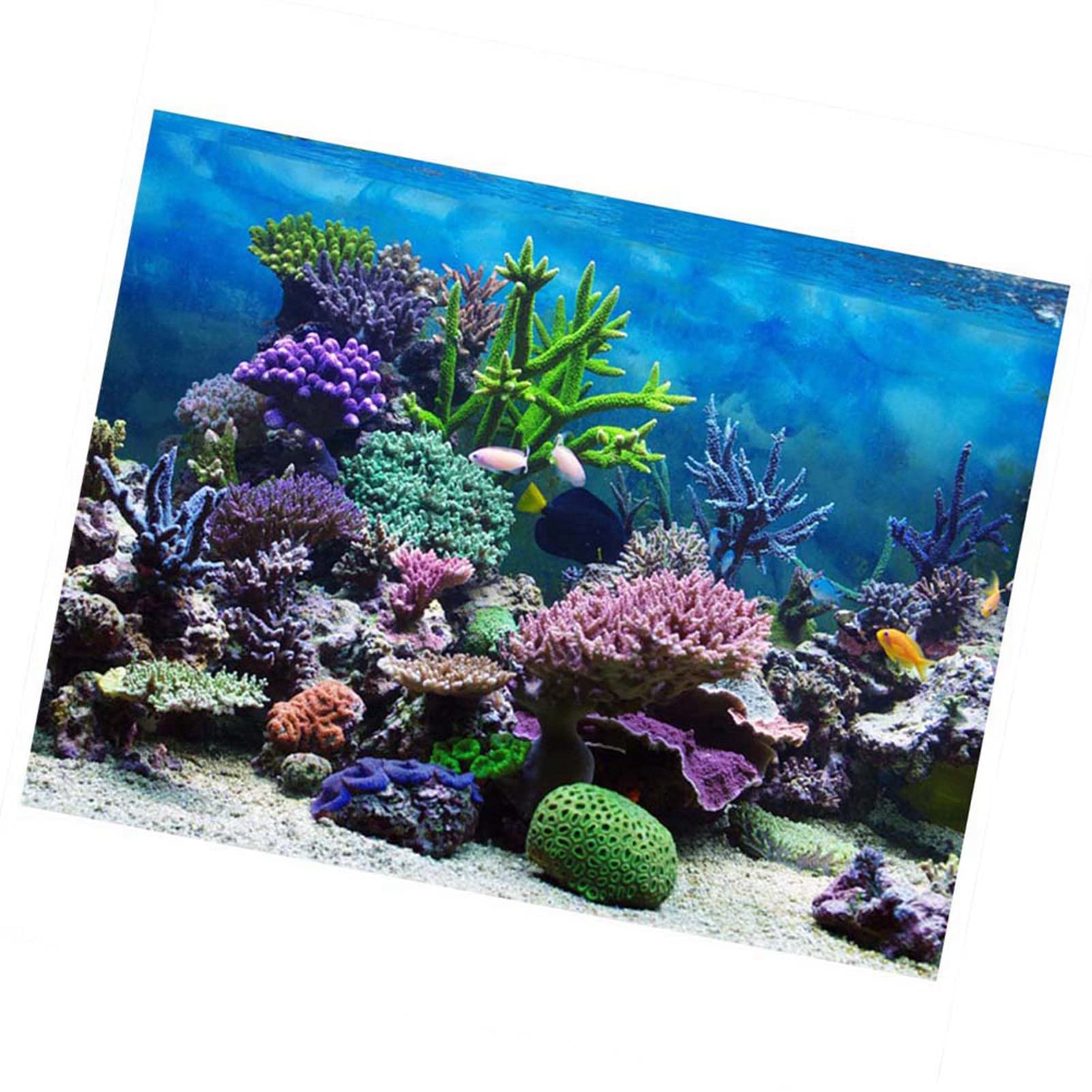 Background Poster Acquario 122x61 Cm, Adesivo per Vetro, Fondo | Materiale in PVC, Immagine Ad Alta Definizione, Impermeabile, Riutilizzabile, Disponibile in più Misure, per Decorazioni di