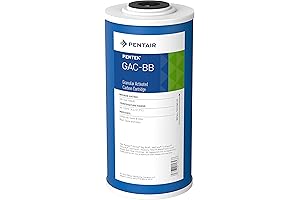 Pentair Pentek Big Blue Filter: 10-Inch Whole House Heavy-Duty Water Filtration Solution