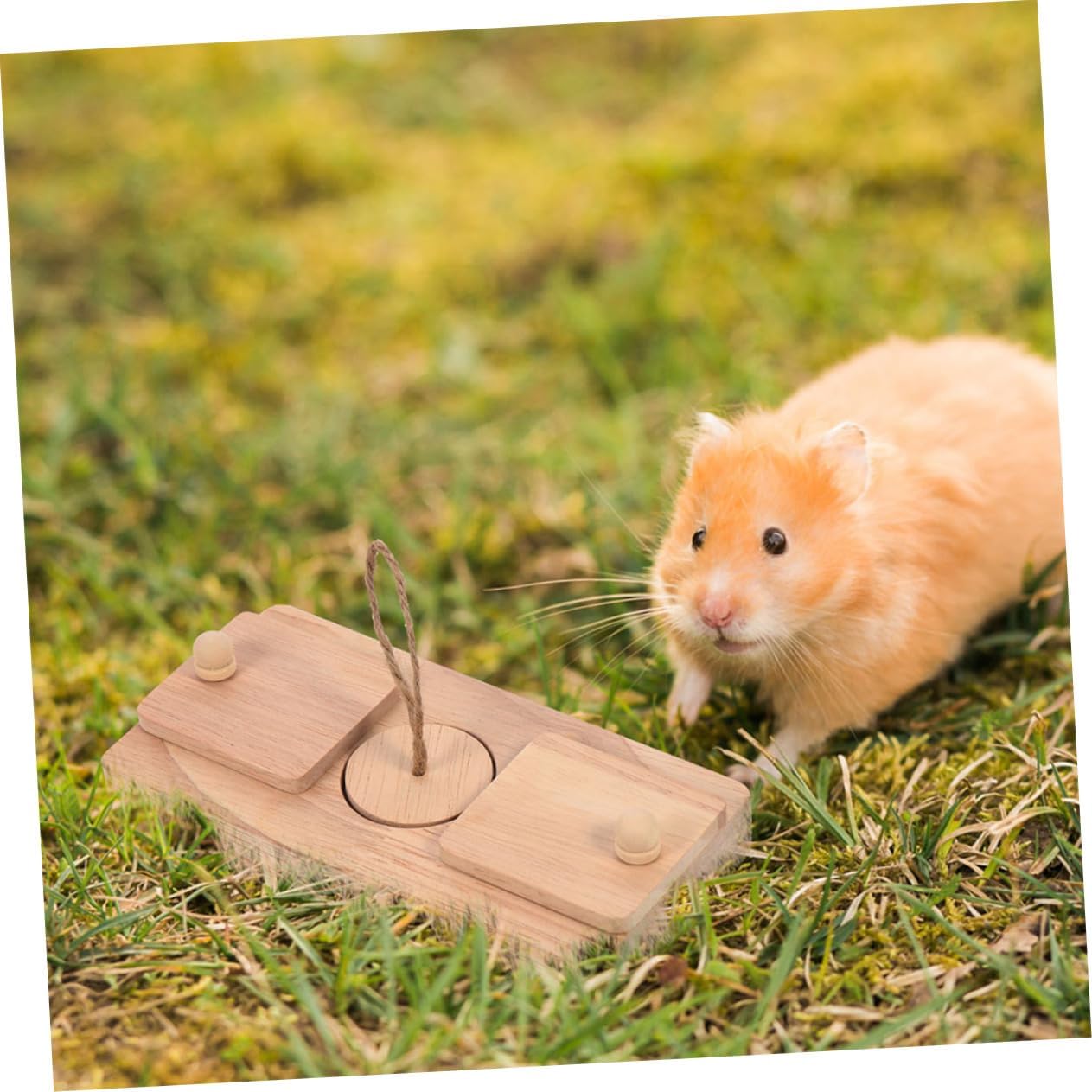 2pcs Wooden Hamster Toys Treat Hideout Interactive Chewing Pet Cage Decor for Hamsters Small Animals