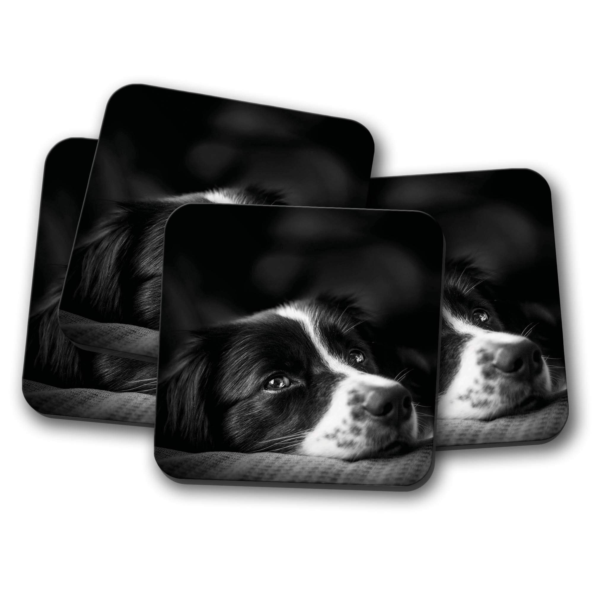 Destinationvinyl Multicolor 4 Set - Border Collie Coaster - Puppy Dog Puppies Farm Sheep Fun #8639