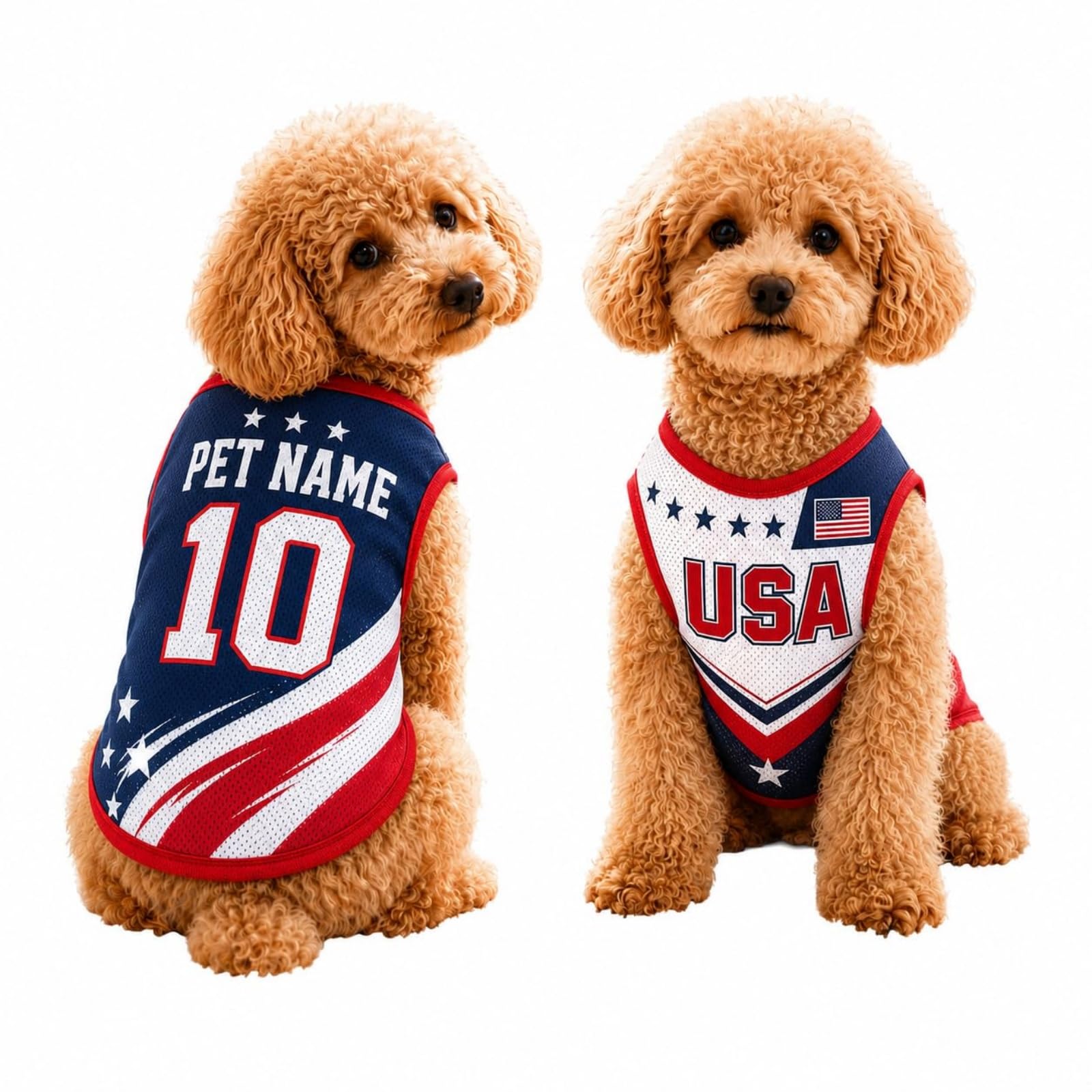 Custom Dog Football Jersey with Name Number Logo, Personalised 2026 Pet Jersey, Breathable Quick Dry T-Shirt for Small Medium Large Dogs, Gift for Fans