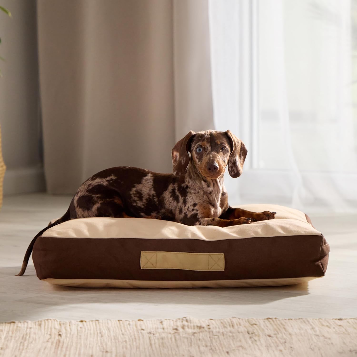 Rawry Orthopedic Dog Bed | Memory Foam Dog Bed with Handle | Water-Resistant, Machine Washable Cover | Floor Cushion for Cats, Dogs & People - Tan/Brown (Small - 24" x 18")