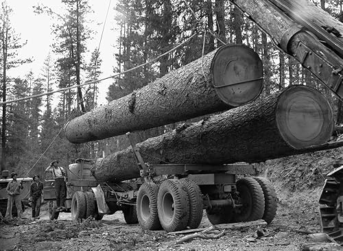 Oregon Logging 1942 Nlumberjacks Cargando enormes troncos en un camión en Malheur National Forest Grant County Oregon Fotografía por Russell Lee