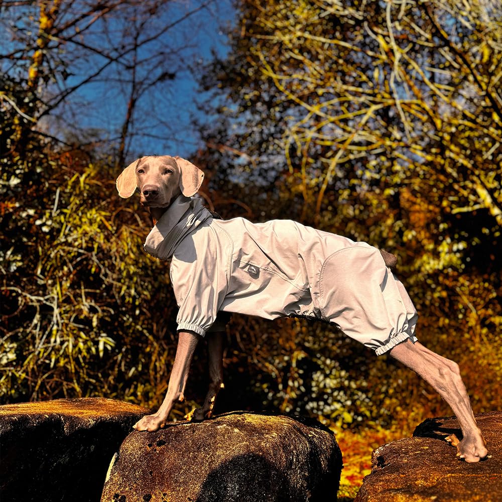 Coupe-Vent Léger pour Chien, Manteau avec Jambes, à Capuche, Trou pour Laisse, Réfléchissant, Compactable - Gris -XL (Mâle)