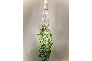 Comtelek Hanging Planter w/ Lights for Boho Bedroom Ambiance