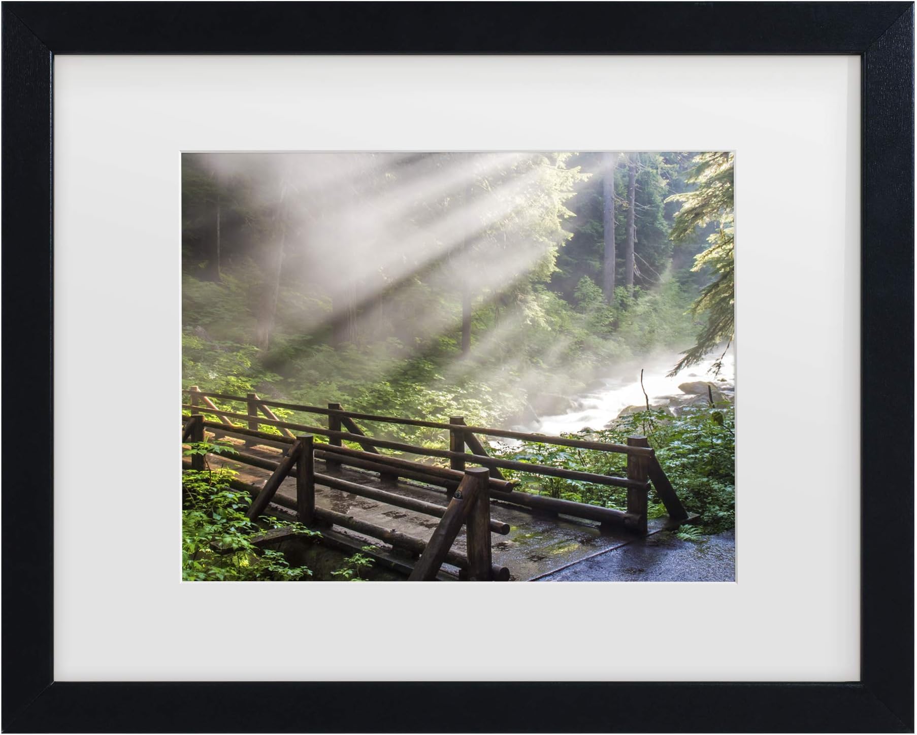Trademark Fine Art Forest Sunlight by Pierre Leclerc, White Matte, Black Frame 11x14-Inch, 11x14