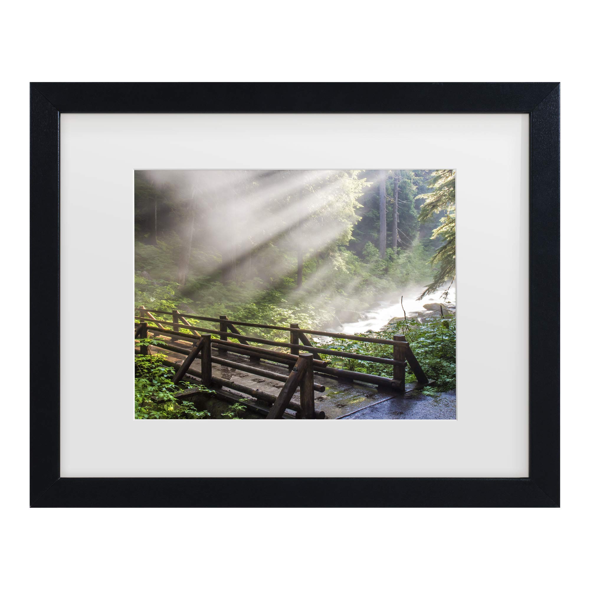 Trademark Fine Art Forest Sunlight by Pierre Leclerc, White Matte, Black Frame 11x14-Inch, 11x14
