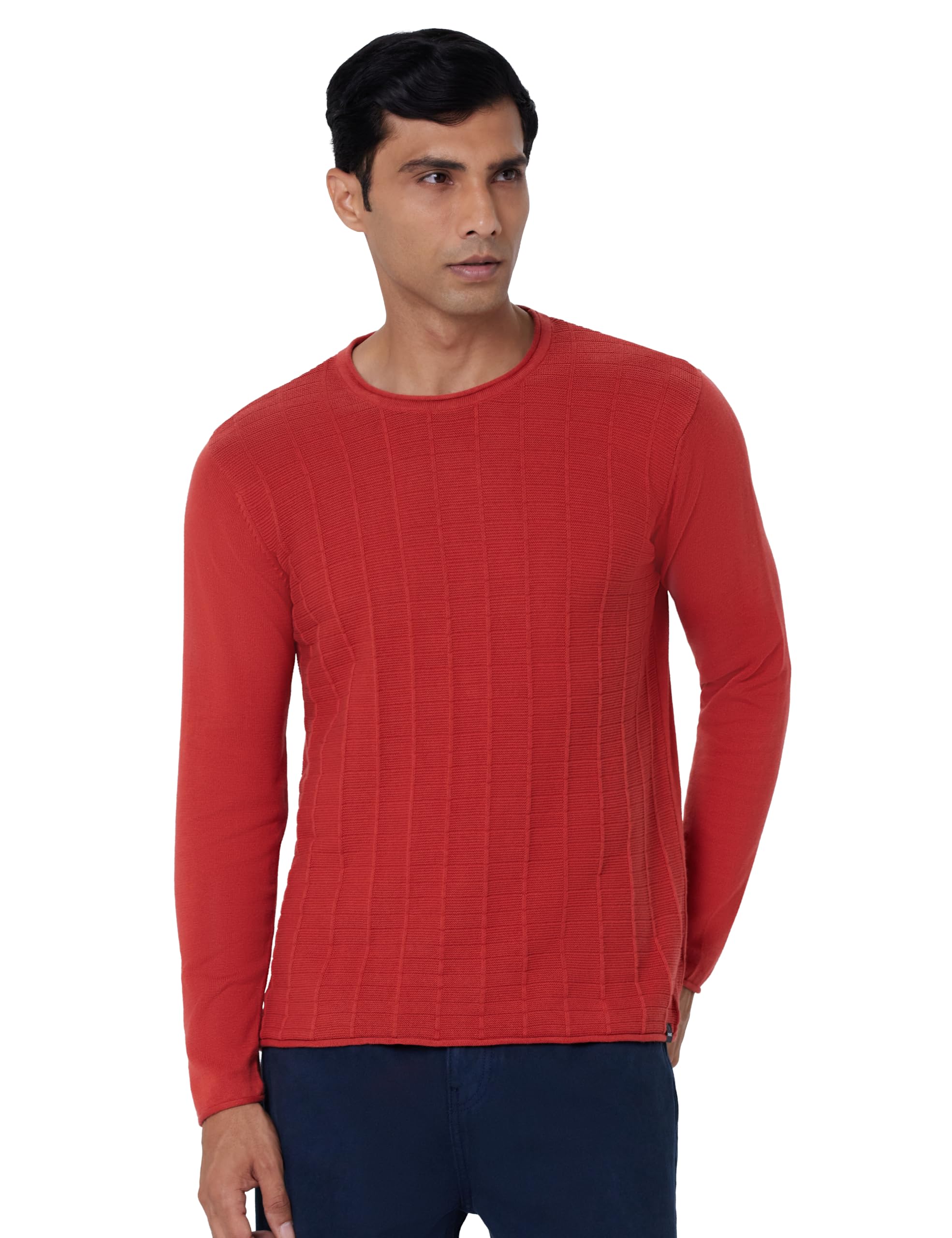 spykar Cotton Round Neck Full Sleeves Sweater for Men-picture-44