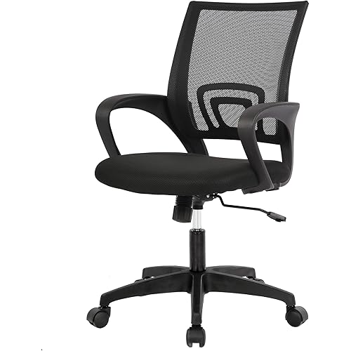 PayLessHere Home Office Chair Desk Computer Chair Adjustable Ergonomic Chair Lumbar Support Armrest Executive with High Density Mesh 360 Degree Swivel Chair for Men Women Adults Chair (Black)