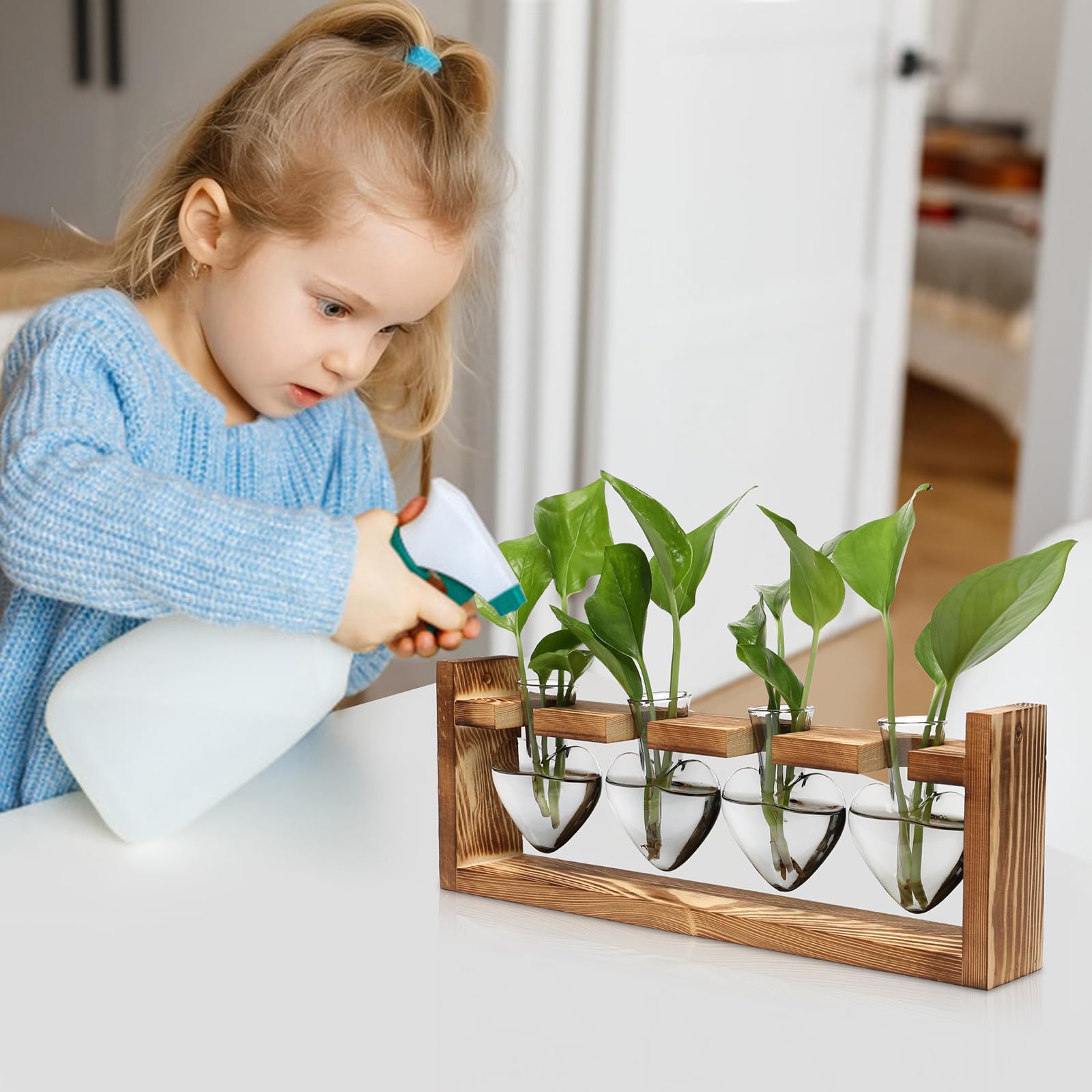 Stacje rozmnażania roślin serce roślina terrarium zestaw prezent dla kobiet miłośników roślin szklane wazony