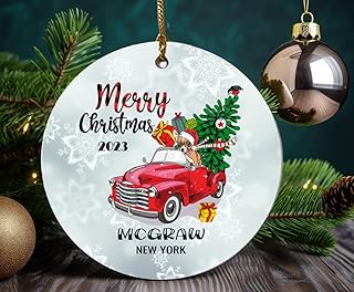 Family Christmas Ornaments 2023 Ornament City State McGraw New York Gift Holidays Party Xmas Decoration Home Decor Funny Gift Together MDF Plastic 3"