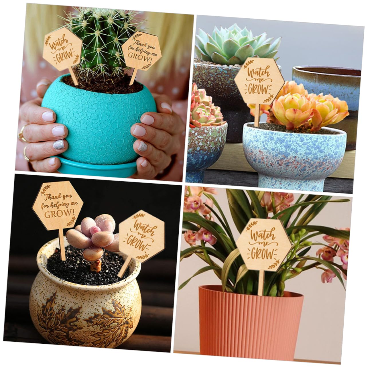 TOYANDONA 3 Sätze Holzetikett Wachsend Pflanzen Anlage Gartenarbeit Grün Innengarten Gartenbedarf Garten Etiketten Baumschulmarker Etiketten Für Baumschulen 40 Stück * 3