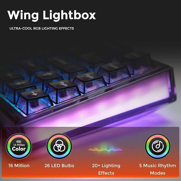 DAREU COOL68 8000Hz Rapid Trigger Gaming Tastatur, 0,01mm RT-Genauigkeit, 65% Wired Magnetic Mechanical Tastatur mit Hall Effect Switches, 20 RGB Modes, Einstellbare Betätigung, für PC/Mac(Schwarz) - 3