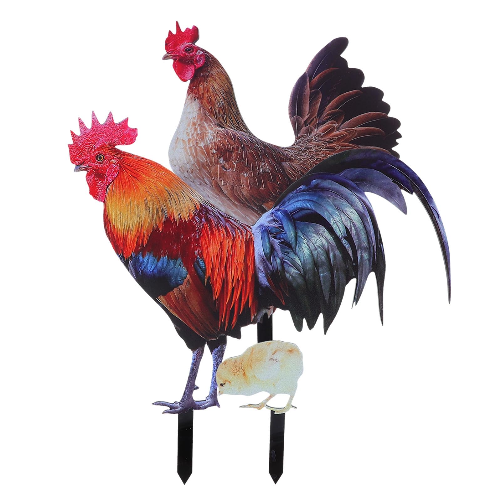 Piquets de jardin décoratifs en acrylique 3D Housoutil coq poule poussin