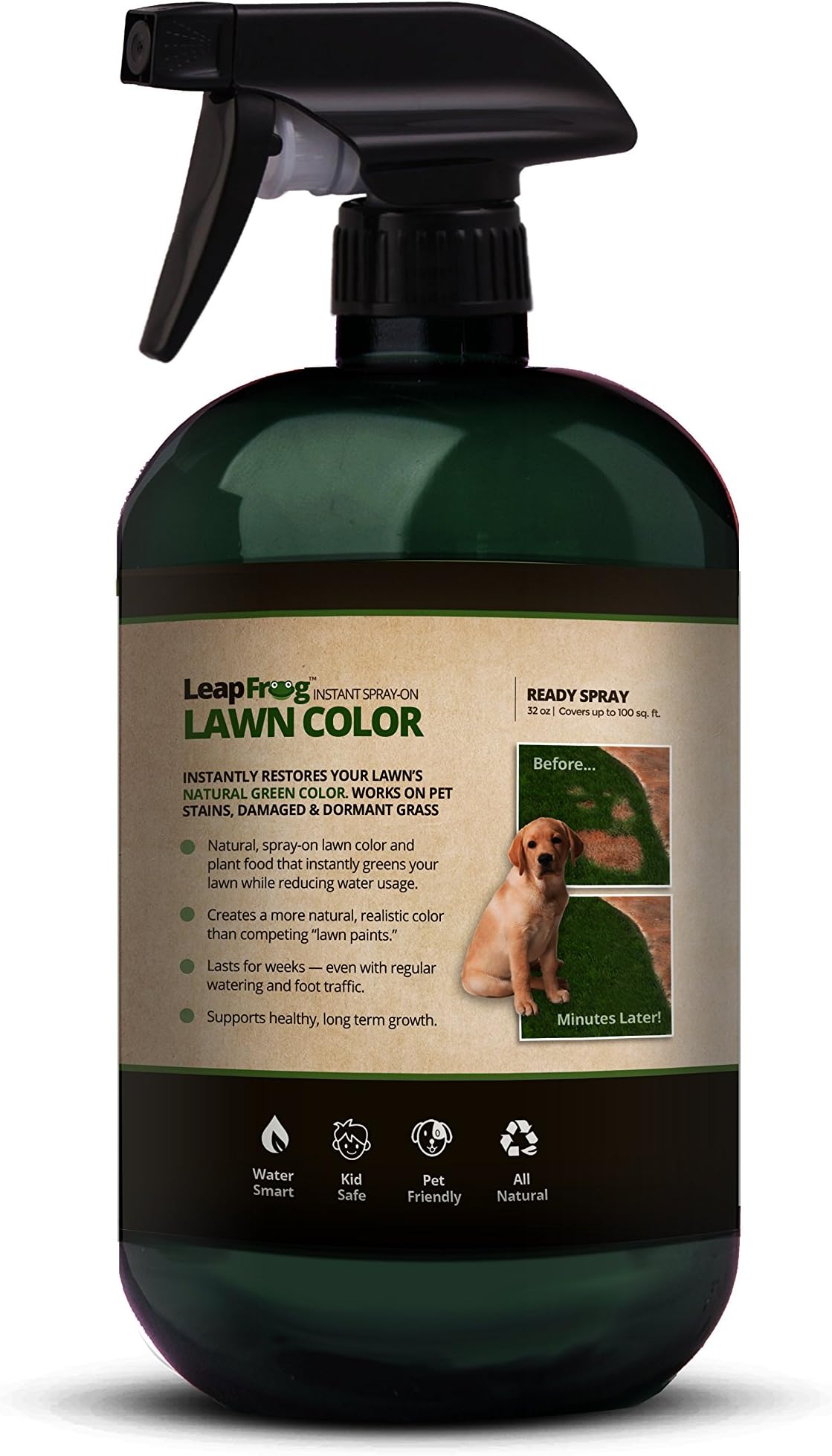 LeapFrog Lawns - 32oz Green Lawn Colorant & Instant Spot Treatment - Ready to Spray Grass Paint