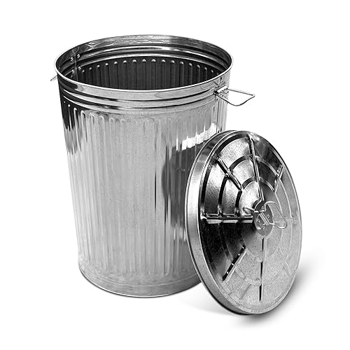 Plexon Bote de basura de metal con tapa para exteriores, cubo de basura de acero galvanizado de 20 galones con tapa, color plateado