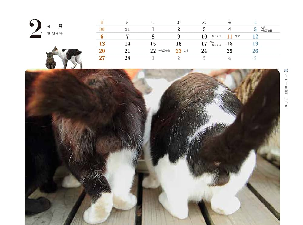 Amazon.co.jp: 2022カレンダー 開運! にゃんたまカレンダー