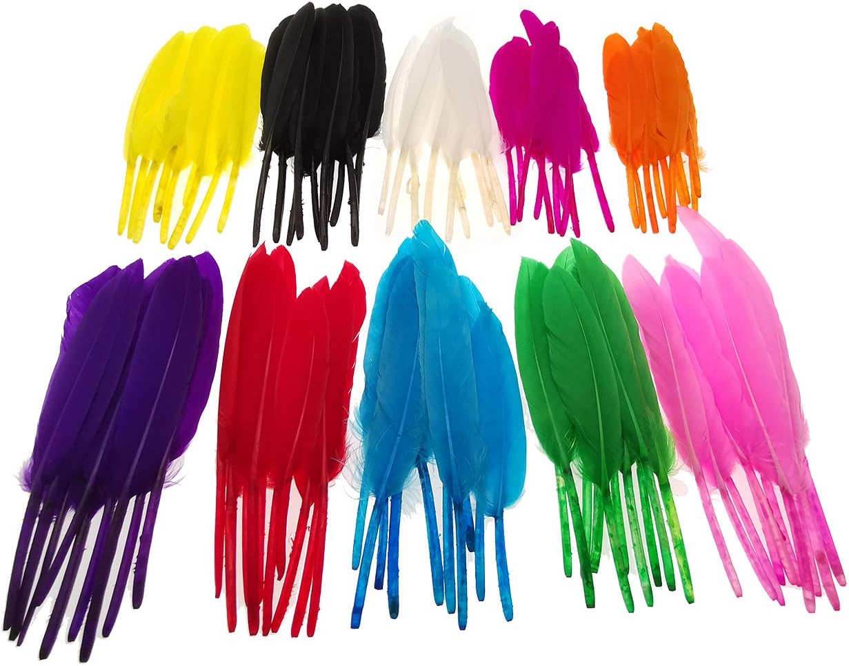 Dxeud Colorful Goose Feathers 100pcs/pack/ (10pcs X10colors) (4-6 inch)
