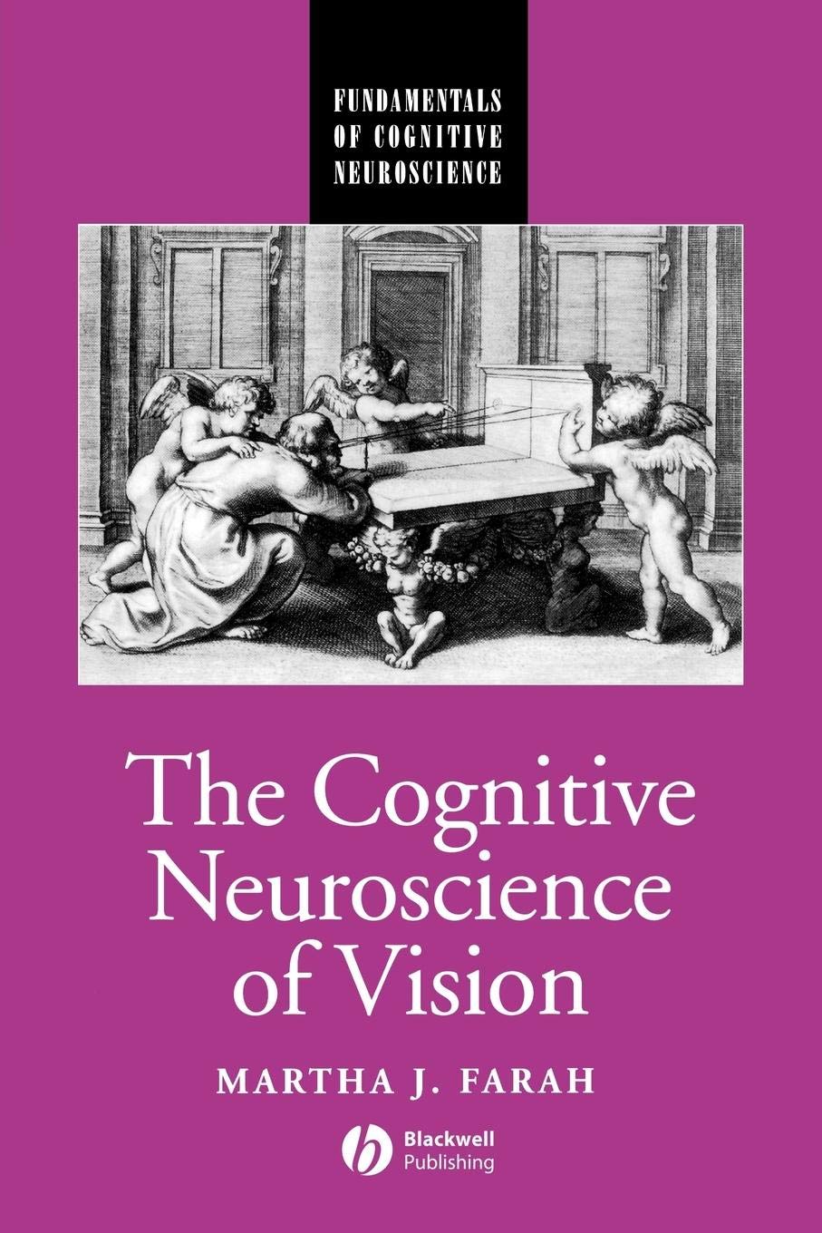 The Cognitive Neuroscience of Vision (Fundamentals of Cognitive Neuroscience)