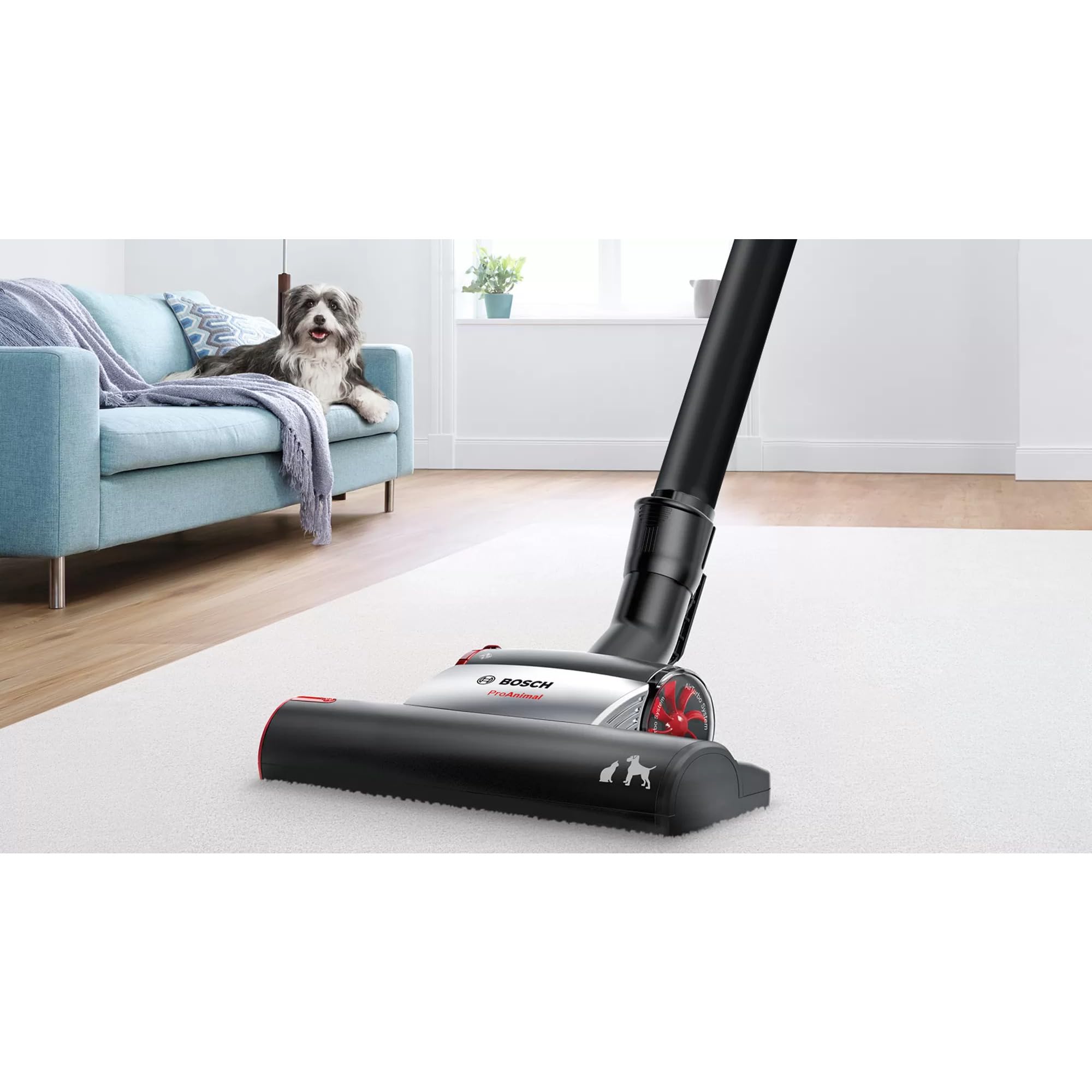Bosch Aspirapolvere senza sacchetto serie 6 BGC41PET, ideale per peli di animali e persone allergiche, filtro igienico, garanzia motore 10 anni, per parquet, tappeti, piastrelle, ugello turbo