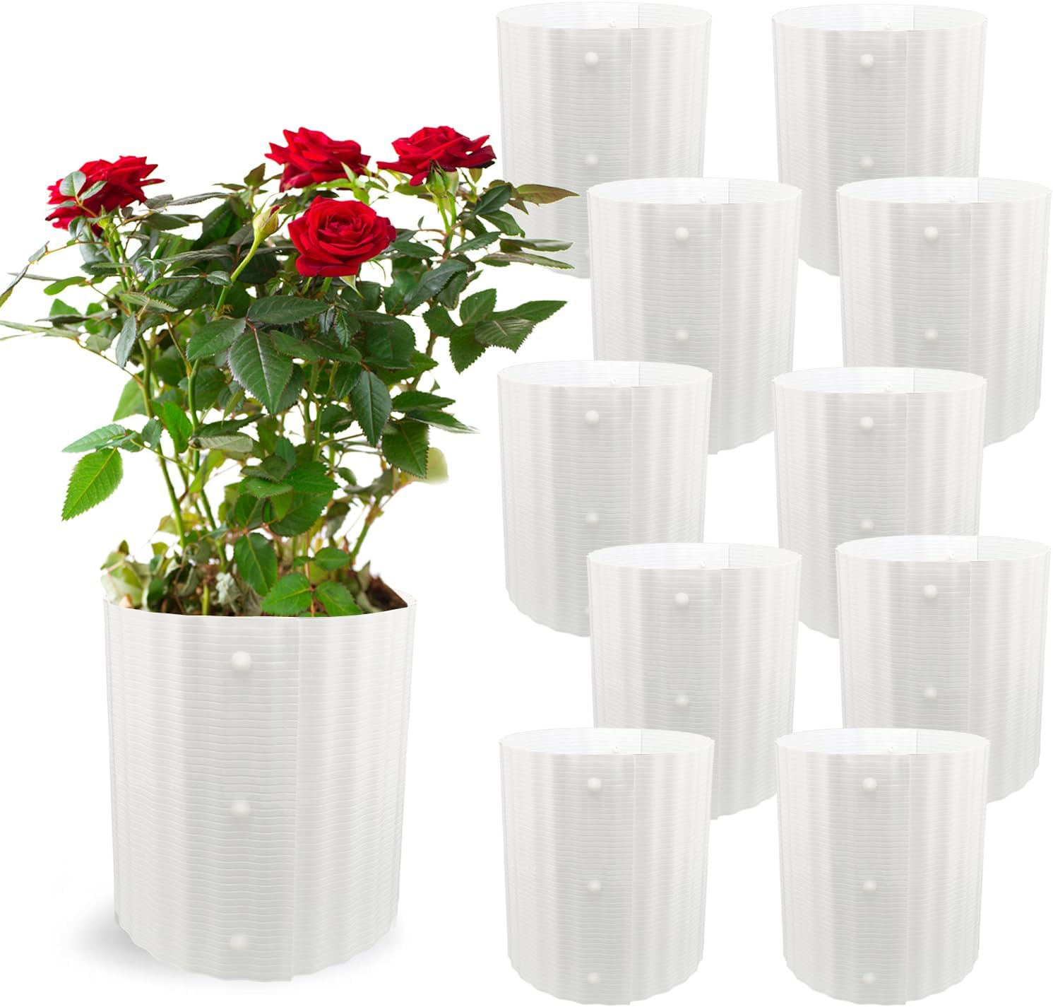 Amazon.com : Gardener's Supply Company | Rosy Cozy, Rose Cone Winter ...