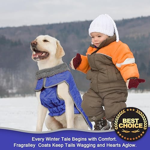 Vista 22 de Fragralley Abrigo de invierno para perro, chaqueta de forro polar reflectante impermeable y resistente al viento con agujero para arnés, chaleco