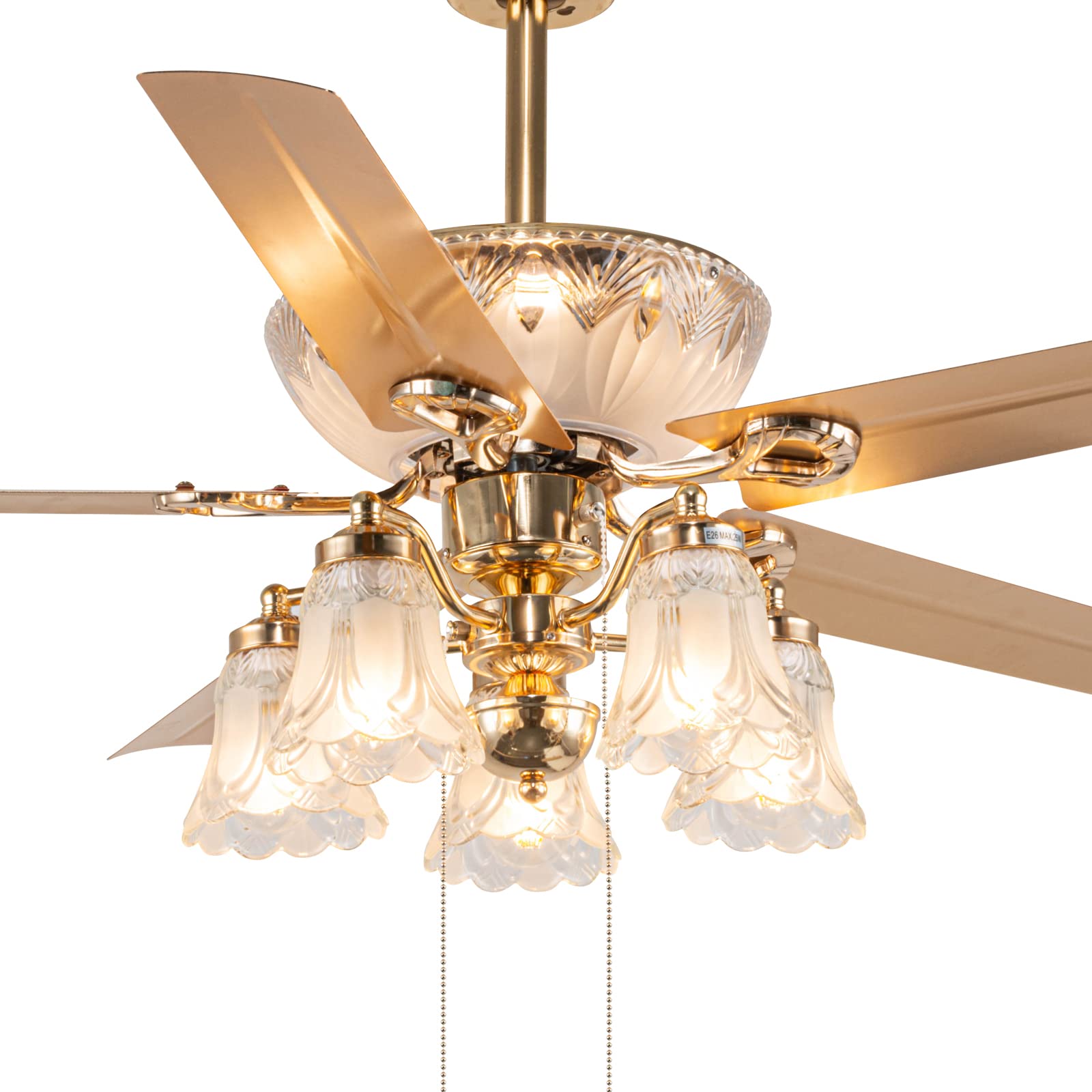 Modern Ceiling Fans with Lights Remote Control 5 Reversible Metal ...