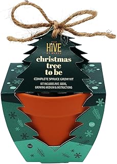 BUZZY Seeds Holiday Spruce Tree Kit 4-Pack Mini Terracotta Pots with Non-GMO Seeds and Growing Medium – Indoor Gardening Gift and Fun Stocking Stuffer for Tree Huggers, Family and Nature Lovers