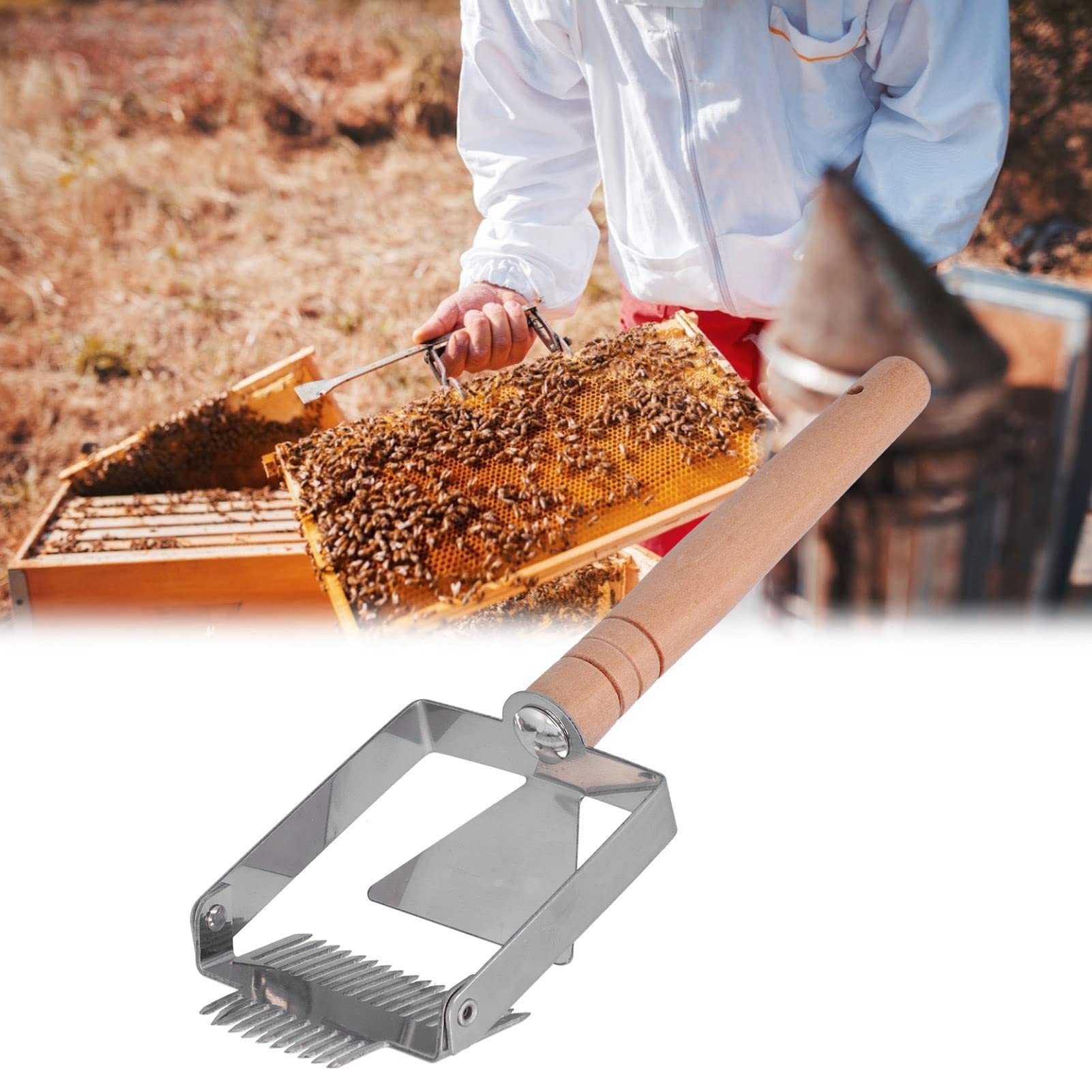 Fourchette à Désoperculer Double Tête - Outil Apiculture Pour Ruches, Poignée Acier Inoxydable, Grattoir à Miel Durable - 4