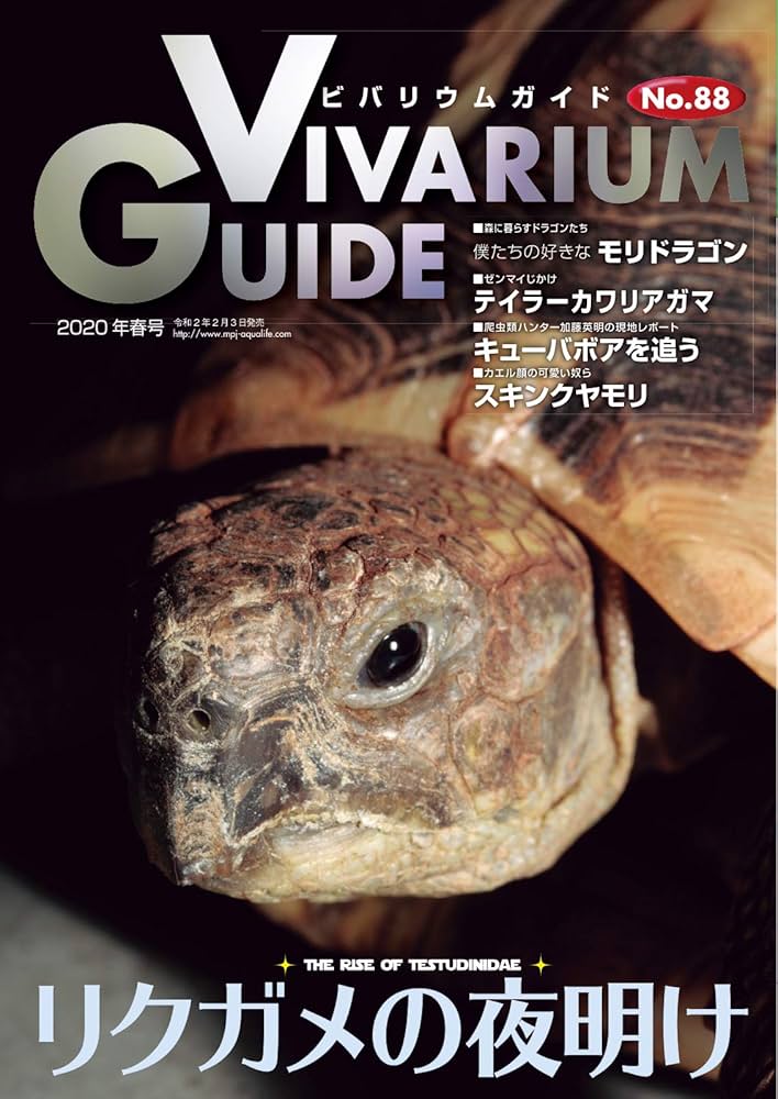 Amazon.co.jp: ビバリウムガイド 88号 (2020-02-10) [雑誌