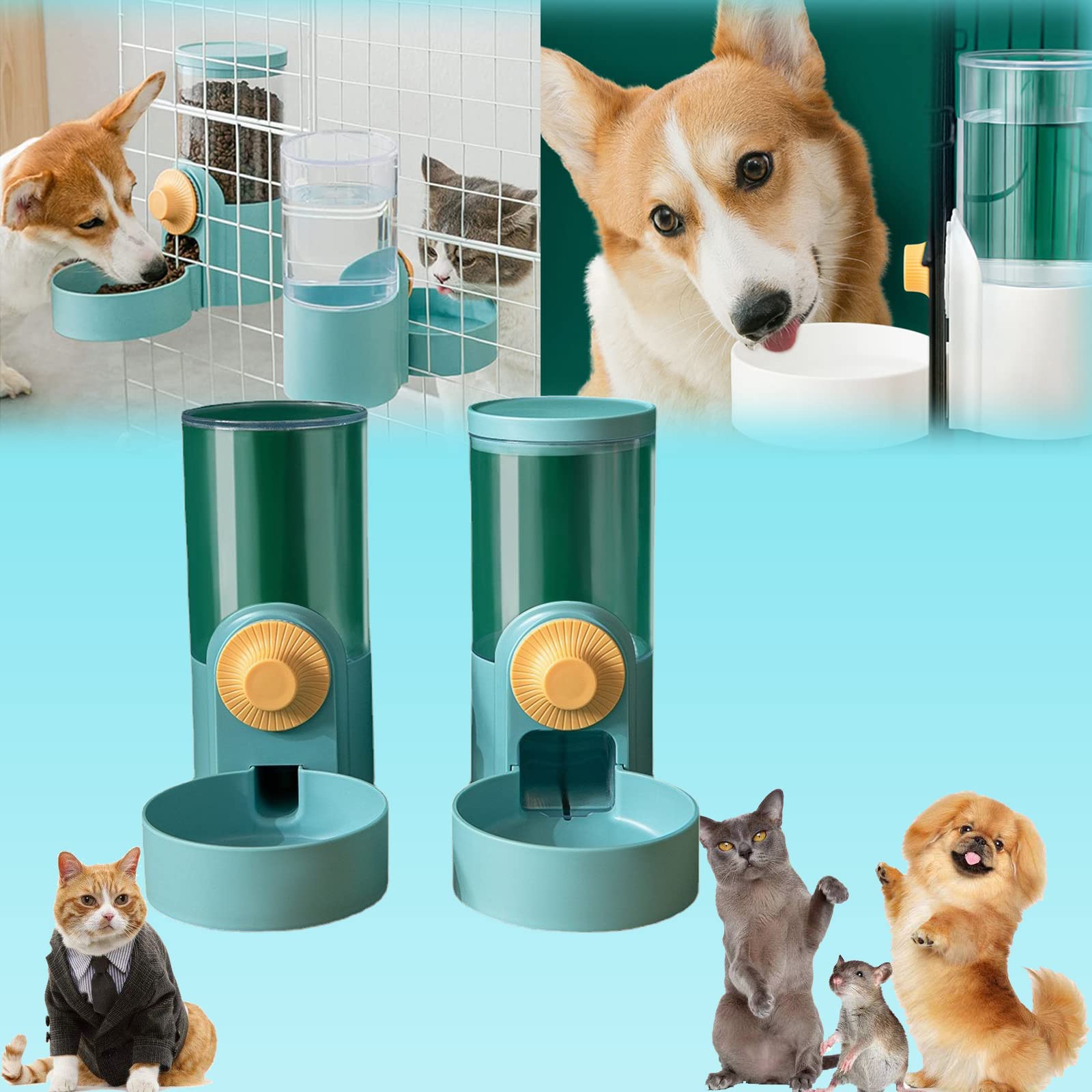 Distributeur automatique cage pour lapin, récipient suspendu de 1L anti-renversement