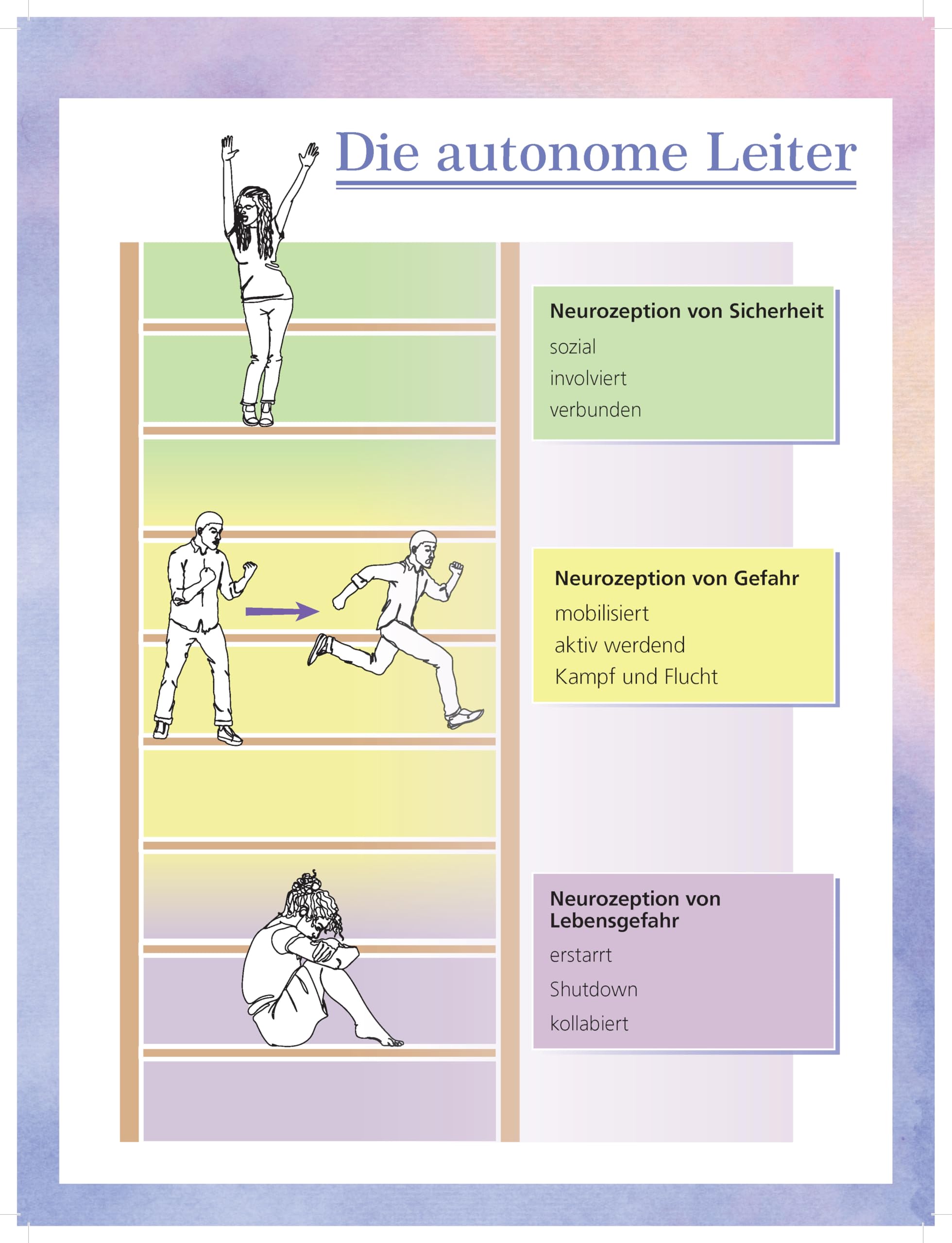 Flipchart Polyvagal-Theorie: Der Einfluß des Autonomen Nervensystems auf das Erleben von Sicherheit und Verbundenheit