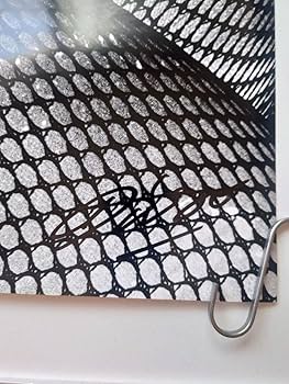 Amazon.co.jp: 森山大道 タイツ サイン入りポスター nadiff apart