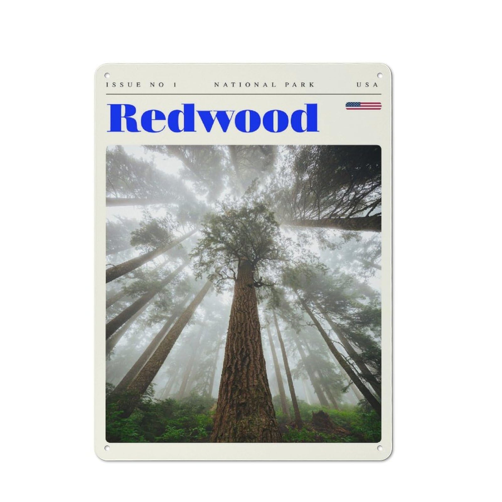 Junmoney Style Cosy Redwood National Park Travel Art Metal Plaque 40X30cm, Kitchen Wall Decor For Kitchen, Cafe, Pantry Or Dining Room
