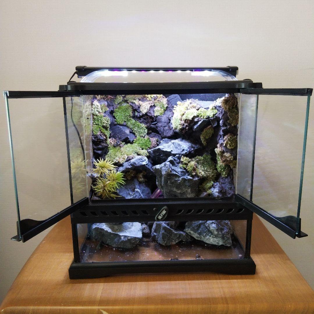 受注生産イモリウム アクアテラリウム グラステラリウム 受注生産】滝
