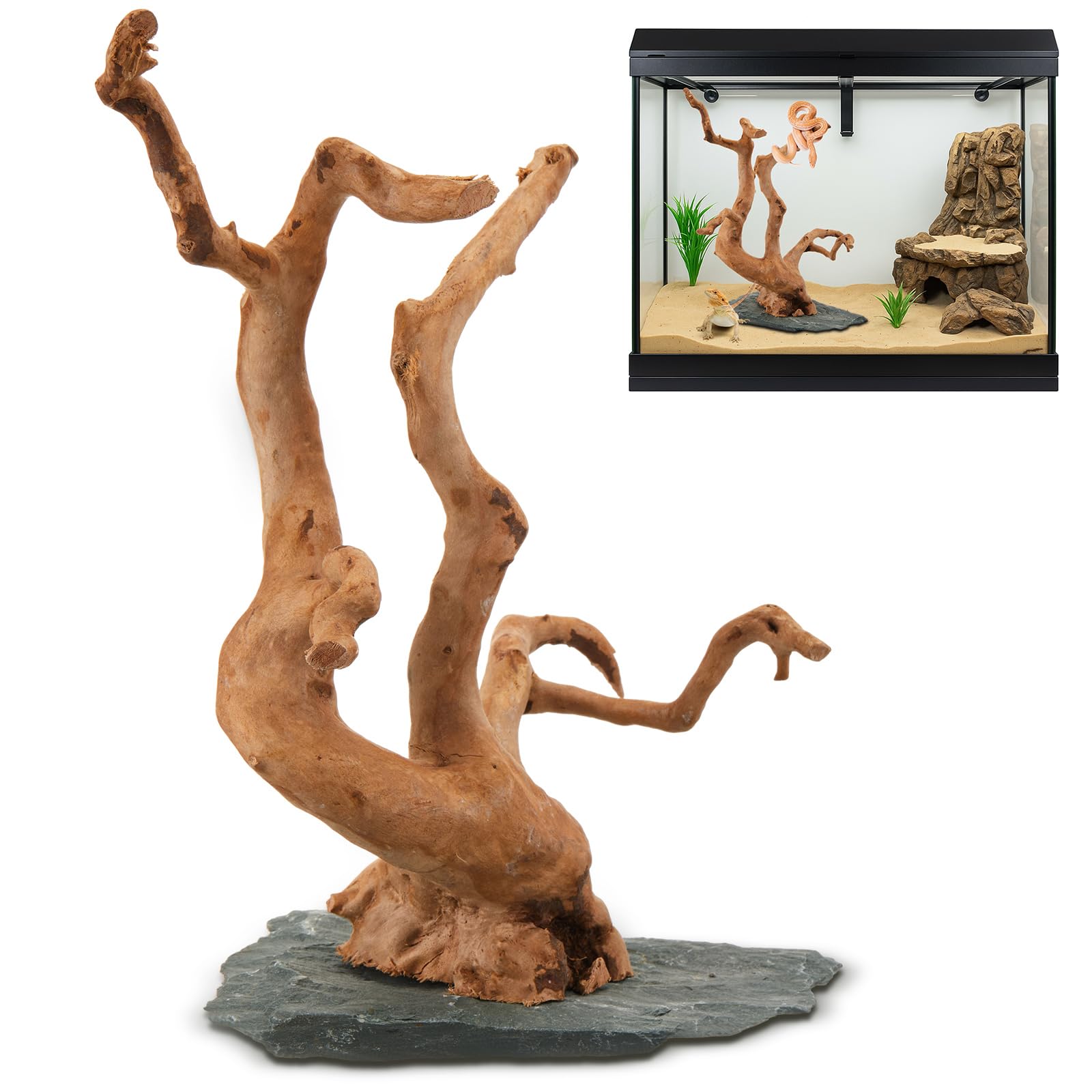 AceOrbit Grande legno naturale di ragno, 21,5-29,9 cm, legno naturale per acquario, legno di ragno su pietra ardesia, per acquario, terrario, vivario, acquario per rettili, decorazione per acquari