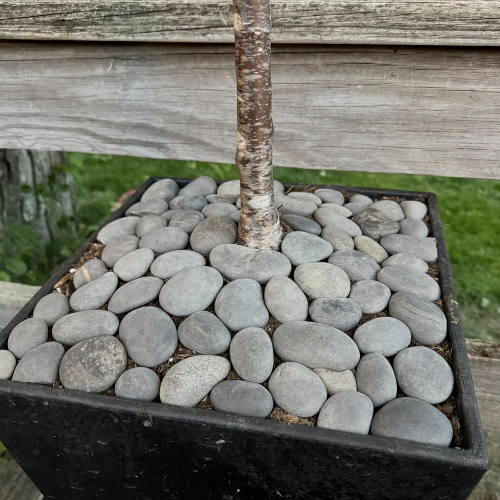 Zestaw 60 płaskich kamieni do malowania, 3,8-7,6 cm, średnie i małe gładkie kamienie, ręcznie wybrane kamienie do malarstwa, rękodzieła, dekoracji, życzliwości