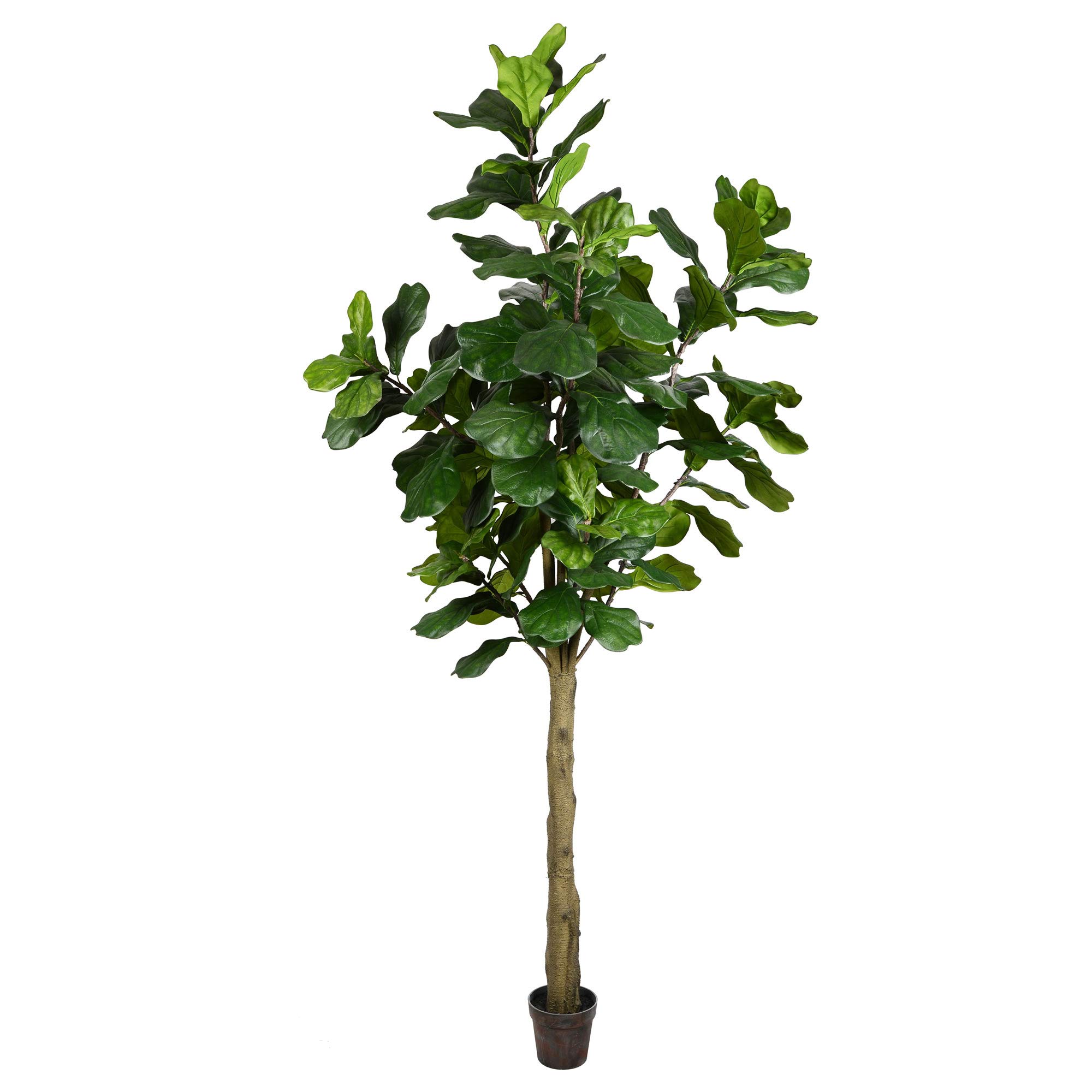 Photo 1 of **UNIT DAMAGED** Vickerman Everyday 8' Artificial Green Potted Green Fiddle Tree with 114 Leaves - Lifelike Home Or Office Decor - Premium Faux Potted Tree - Maintenance Free 8 ft Green