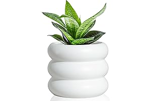 4.7 Inch Modern Plant Pot: A Ceramic Oasis for Indoor Greenery