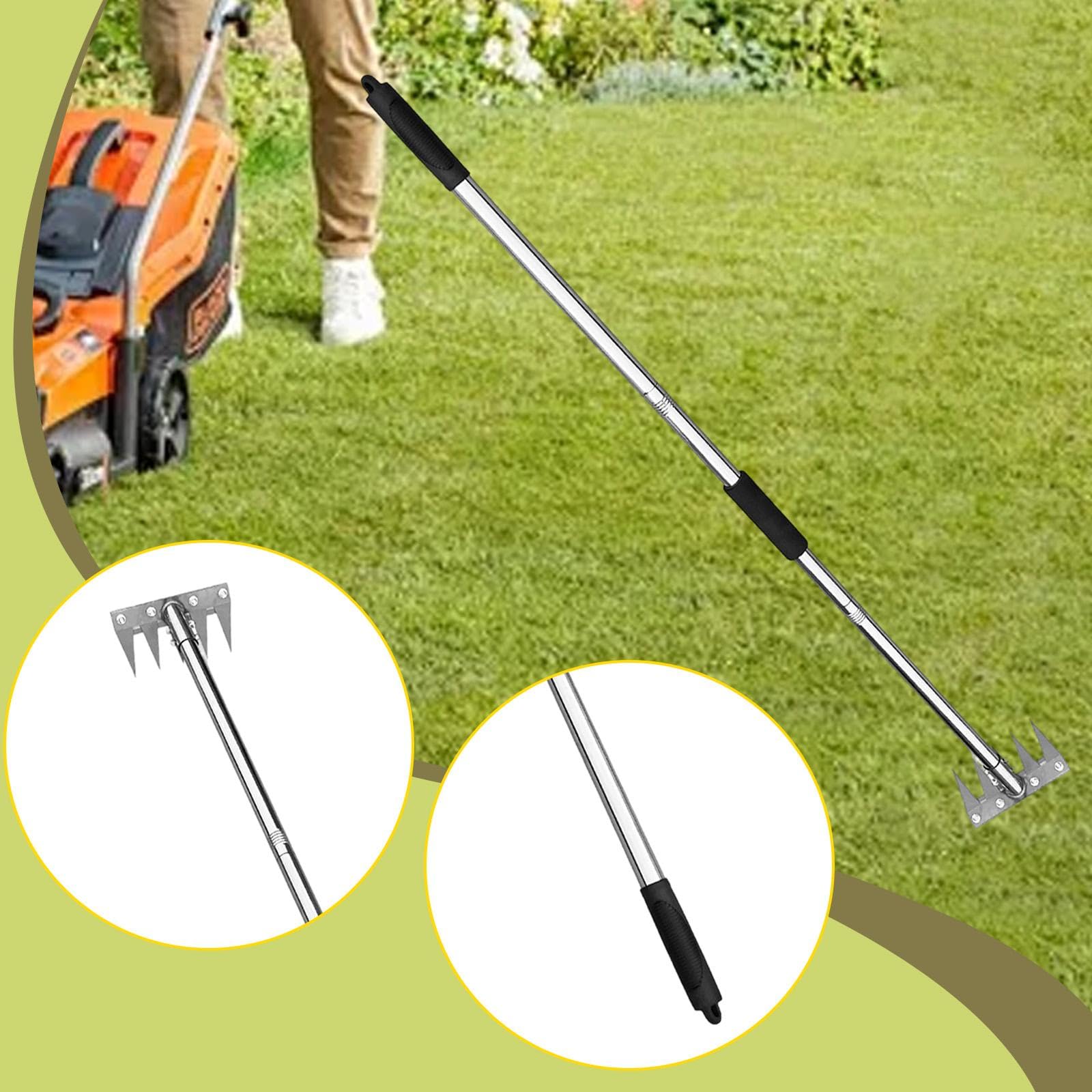 LOVIVER Diserbatrice Manuale Strumento per Estirpare Erbacce Rake da Giardino in Acciaio Inox con Presa Ergonomica Adatto per Orto Cura del Giardino Cortile F, 5 Denti