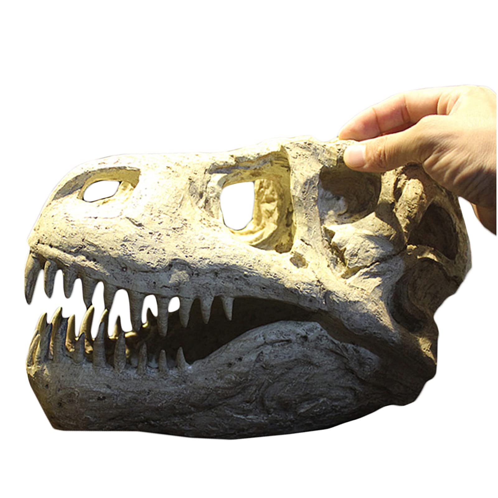 Modelo de cráneo de Tyrannosaurus Rex, réplica de cráneo de dinosaurio, espécimen fósil del Cretácico para decoración de coleccionistas de animales, modelo de juguete, escultura, decoración de escrito