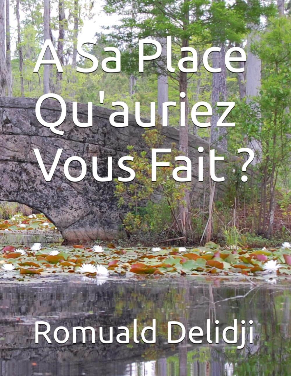 A Sa Place Qu'auriez Vous Fait ?